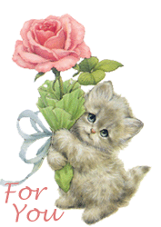 a cute kitten with a rose